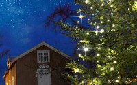 Frøken Ovidia pynter juletreet
